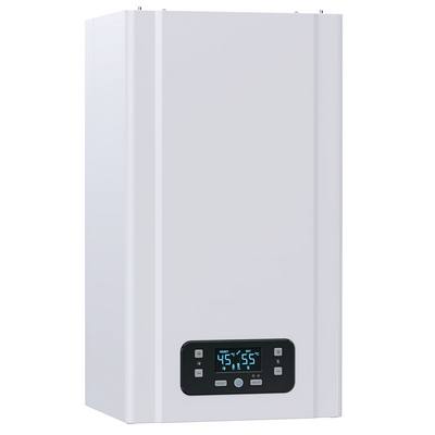 Котёл газовый E.C.A. Gerda 24 HST NG 8216597004