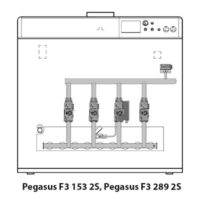 Котёл газовый Ferroli Pegasus F3 N 289 2S 0E2LIAWA