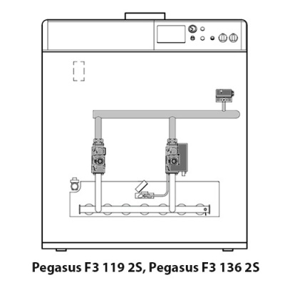 Котёл газовый Ferroli Pegasus F3 N 136 2S 0E2L9AWA