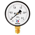 Манометры Росма ТМ ЭКОНОМ, ТМ 10 с повыш. кл.т., IP54
