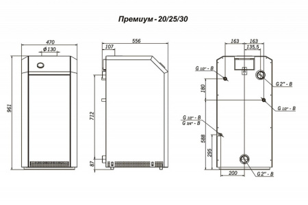 Котёл газовый Лемакс Премиум-20В 10316